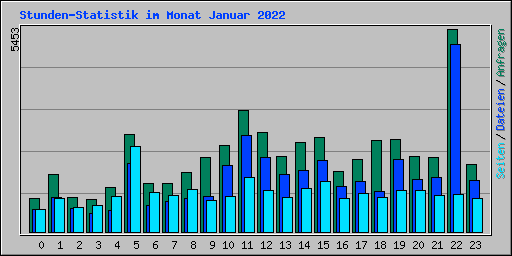 Stunden-Statistik im Monat Januar 2022