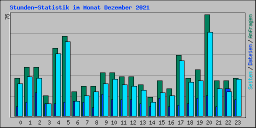 Stunden-Statistik im Monat Dezember 2021