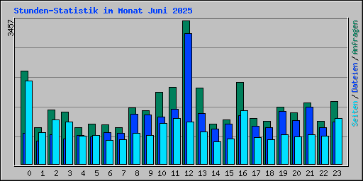 Stunden-Statistik im Monat Juni 2025